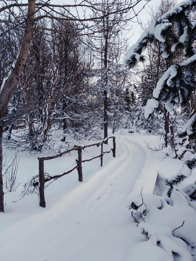 Bakkakot 2 - Cozy Cabins In The Woods Акурейри Экстерьер фото