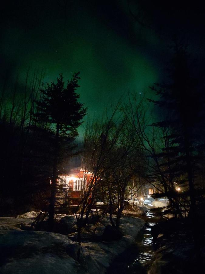Bakkakot 2 - Cozy Cabins In The Woods Акурейри Экстерьер фото
